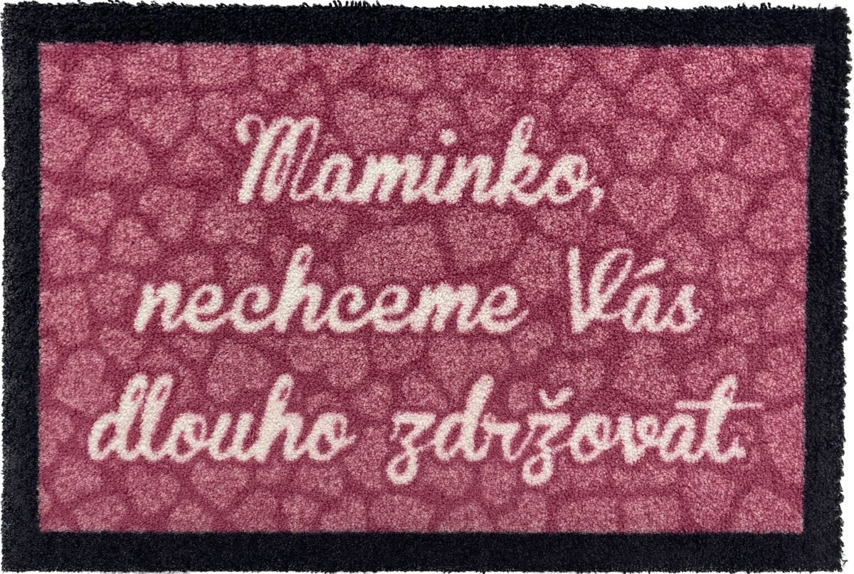 Veselá rohožka NECHCEME VÁS ZDRŽOVAT